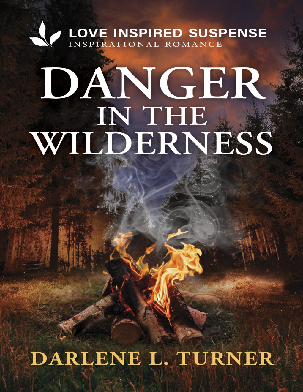 Cover of Danger in the Wilderness (2019)
