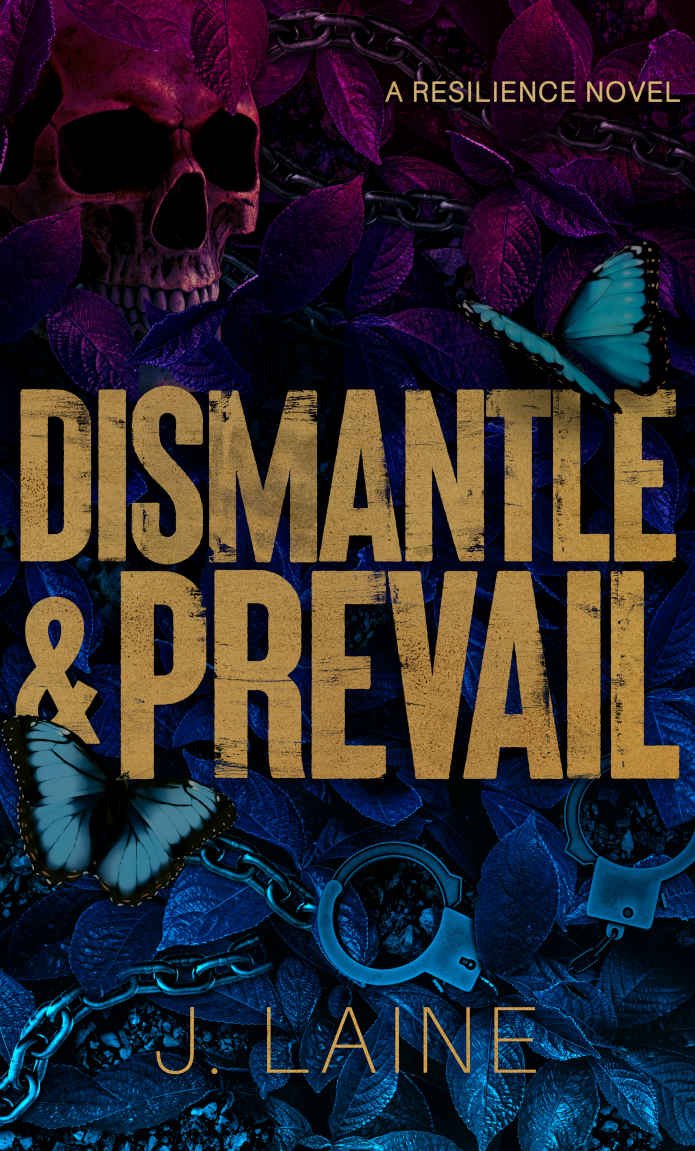 Cover of Dismantle & Prevail : A Resilience Novel