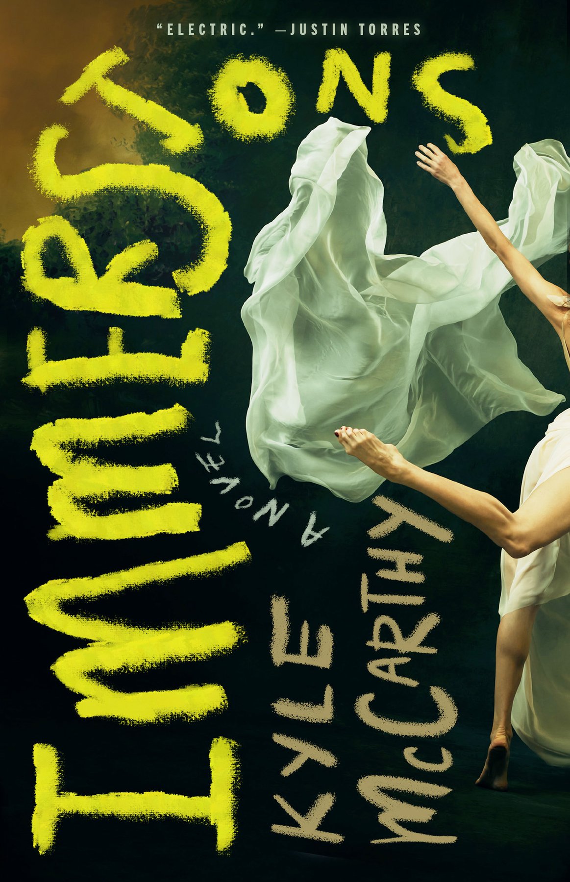 Cover of Immersions