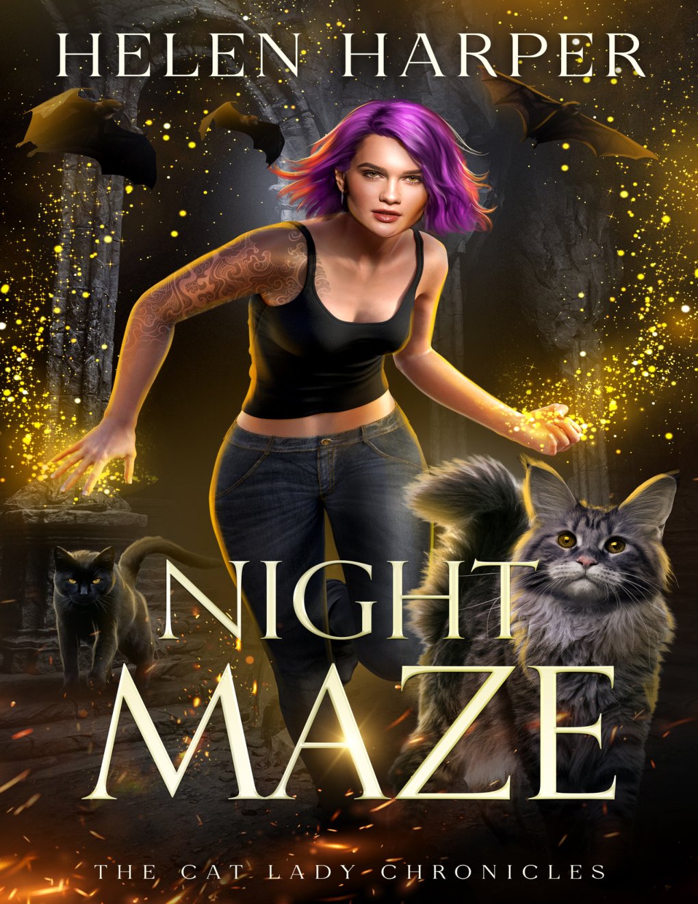 Cover of Night Maze (2018)