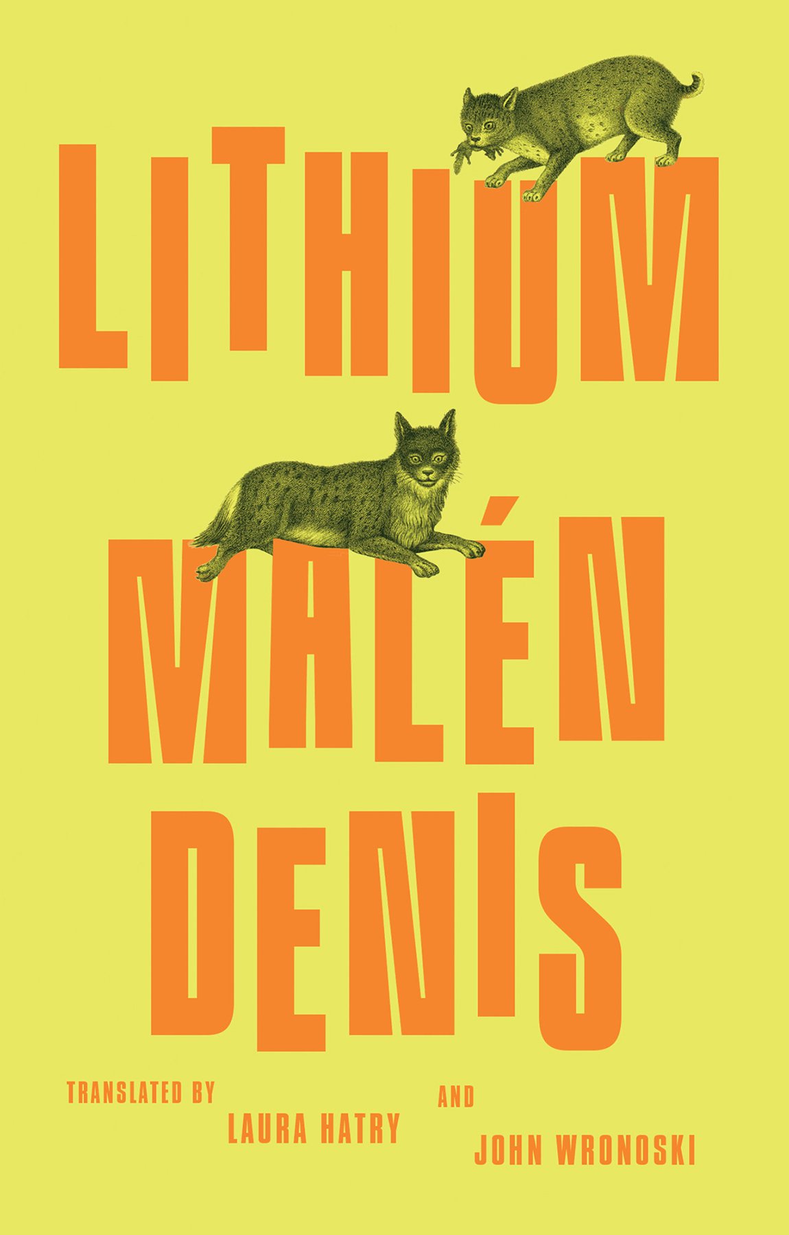 Cover of Lithium