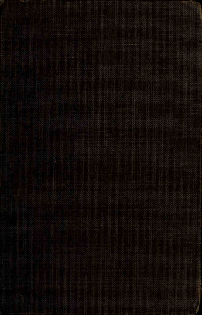 Cover of Runaway stallion