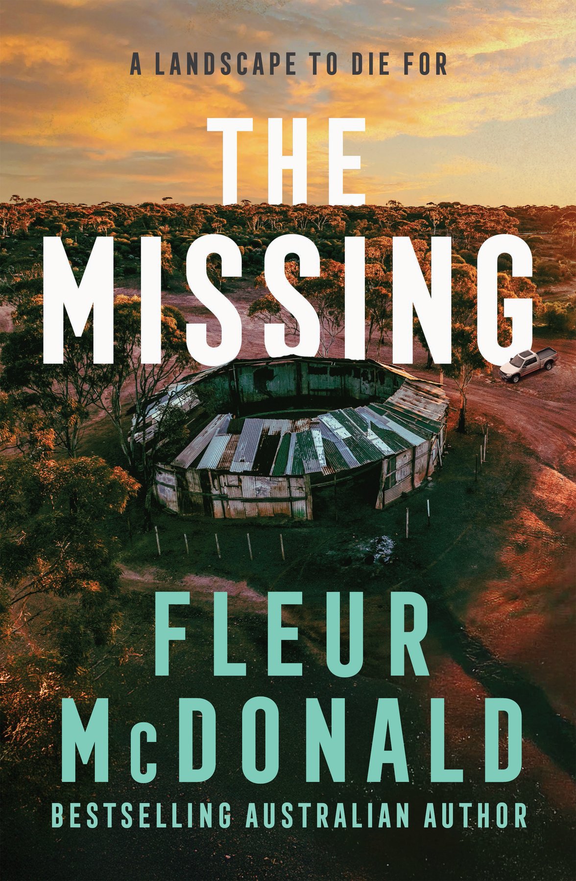 Cover of The Missing