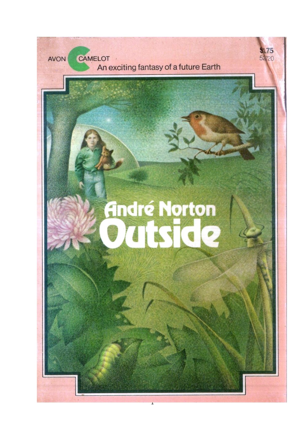 Cover of Outside