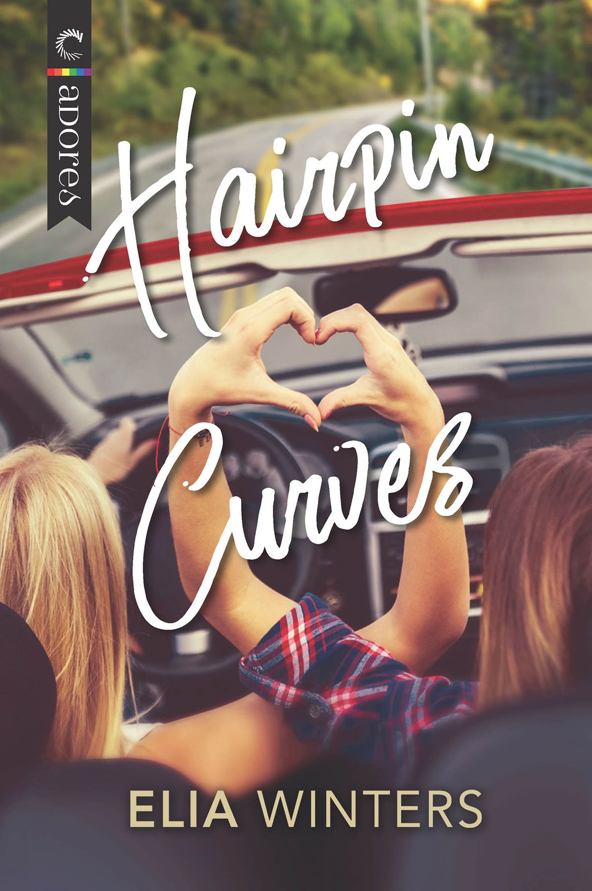 Cover of Hairpin Curves