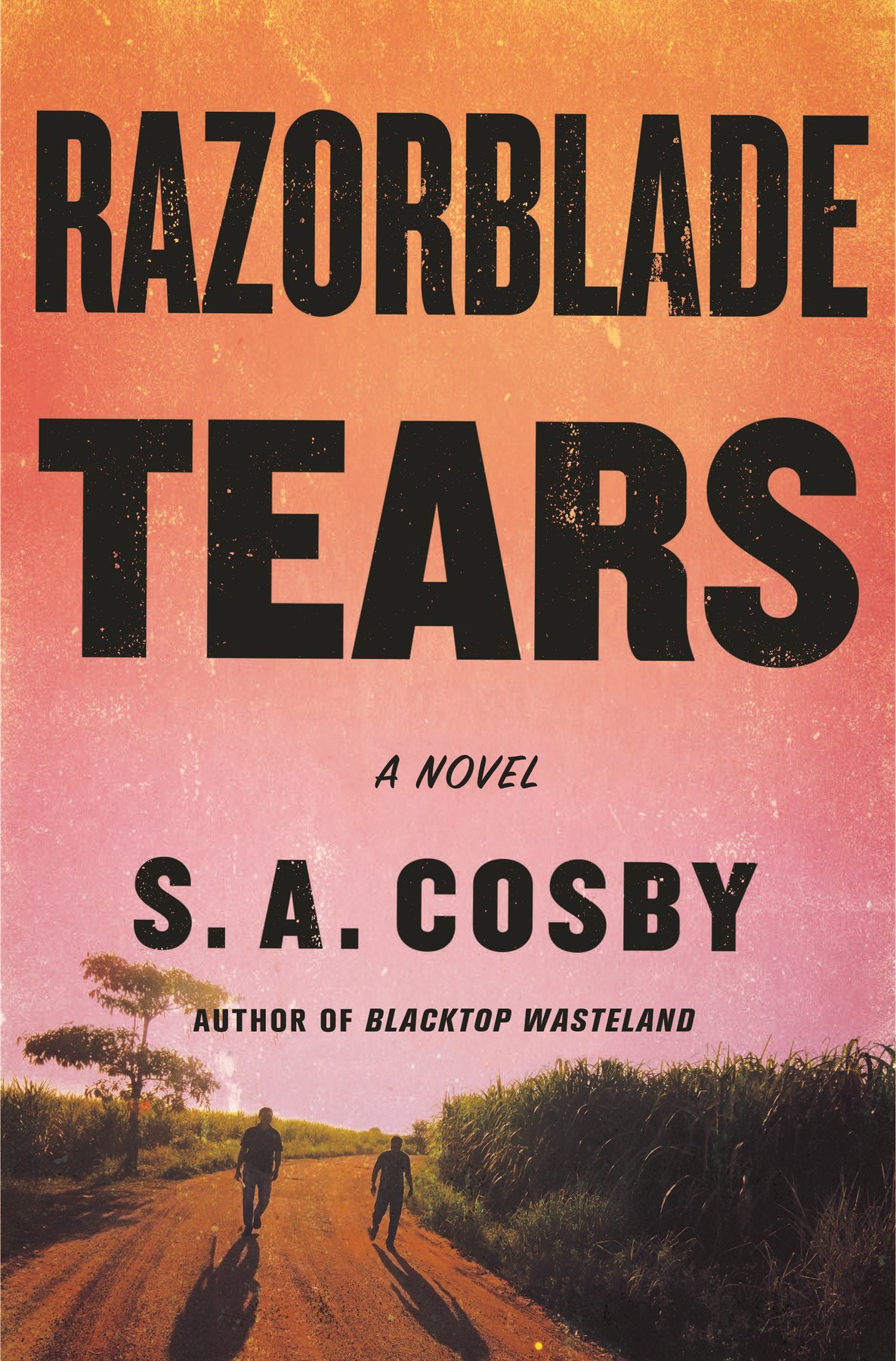 Cover of Razorblade Tears (2021)