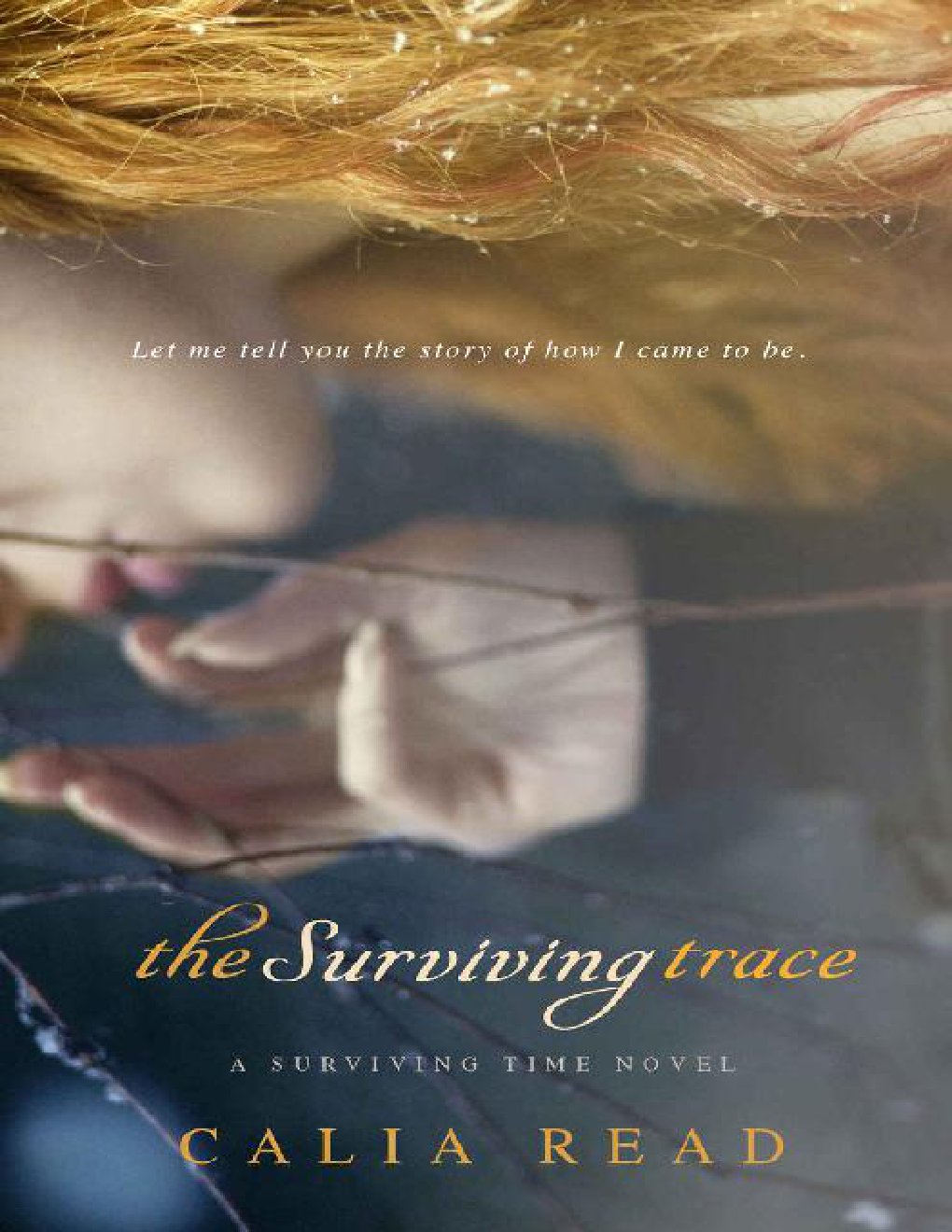 Cover of The Surviving Trace